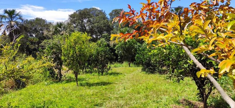 Stio - Venda - Area Rural - Buritizeiro - MG