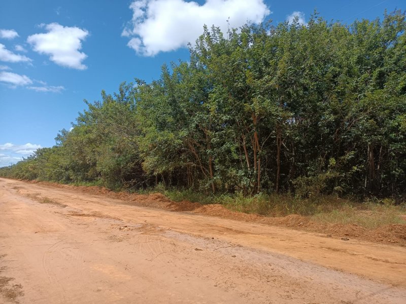 Terreno - Venda - Residencial Porto Belo - Pirapora - MG